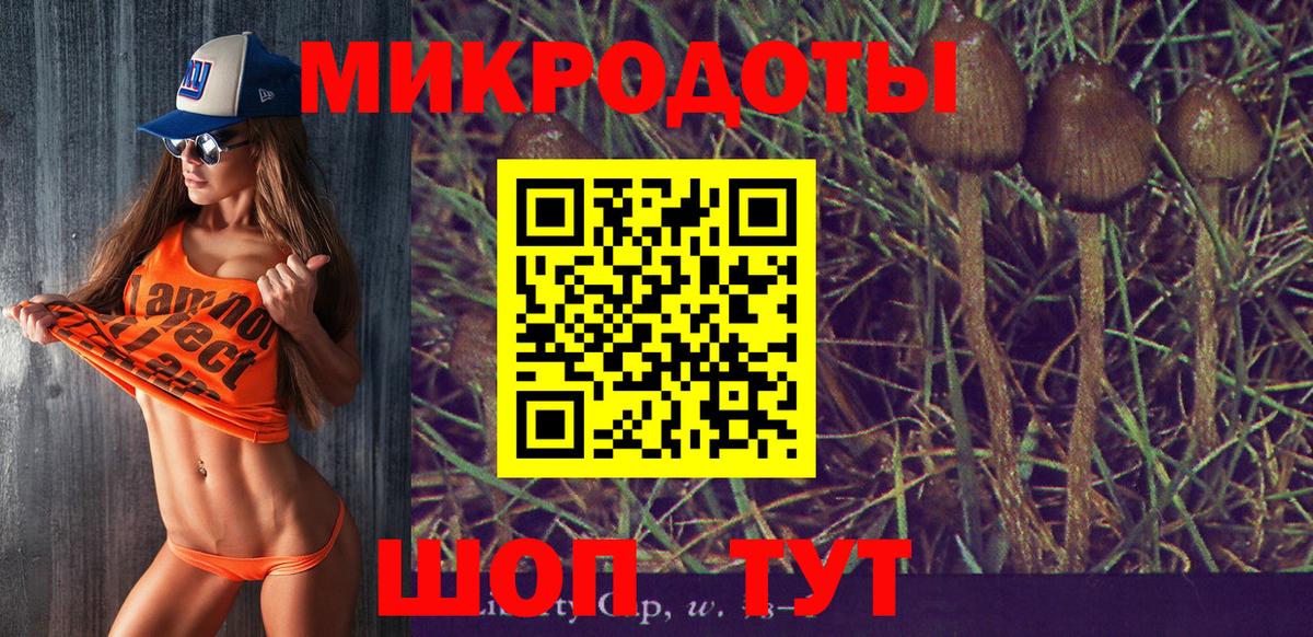 Псилоцибиновые грибы Cubensis  где купить наркотик  Красногорск  Вход с VPN 